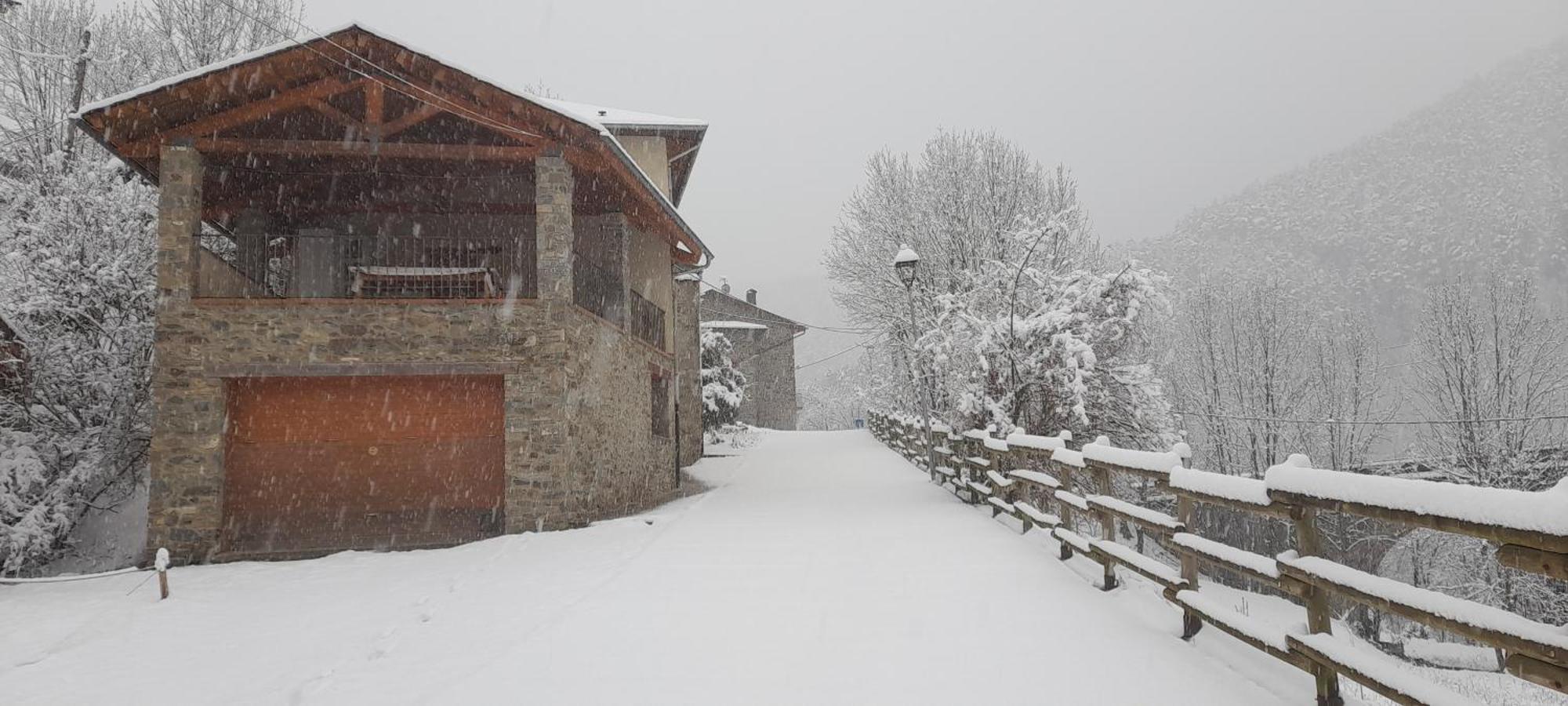 Cal Calau Vega Bed & Breakfast Planoles Dış mekan fotoğraf
